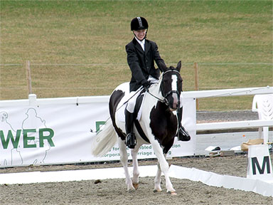 Championship Dressage