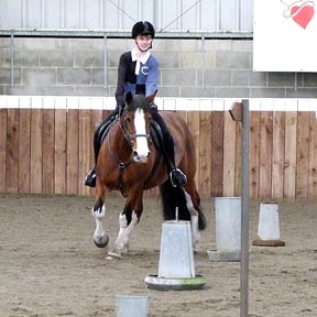 Handy Pony