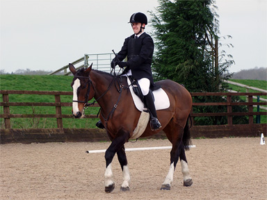 Dressage - Class winner