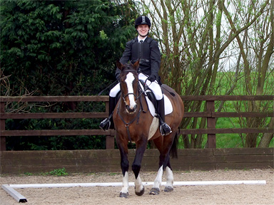 Level B Dressage