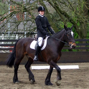 Oliver, Preliminary 2