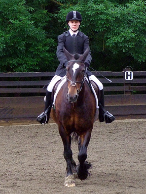 Unaffiliated Dressage