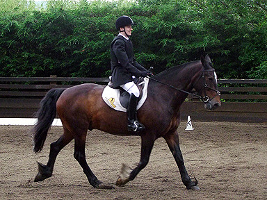 Oliver and Bailey