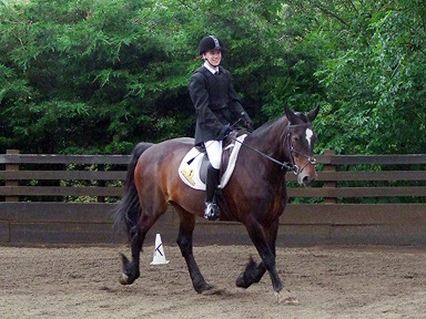 Oliver, Preliminary 2