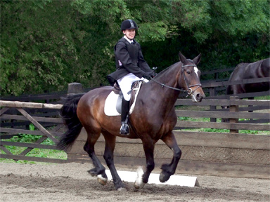 Oliver, Preliminary 18