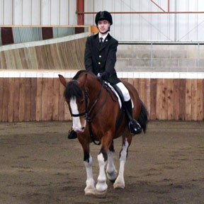 Dressage