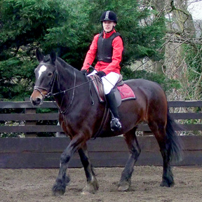 Grade 4 test - Oliver and Bailey