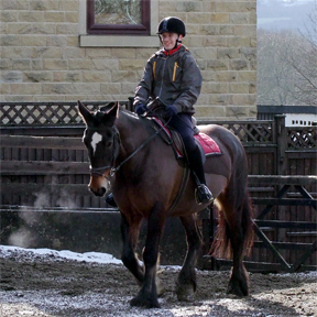 ID test - Oliver and Bailey