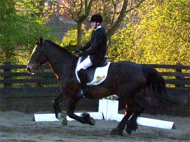 Oliver and Bailey