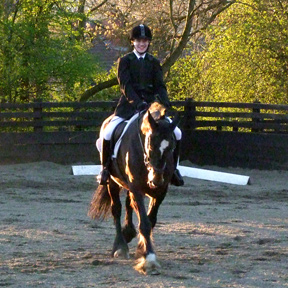 Oliver, Preliminary 7