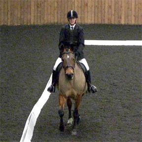 Dressage