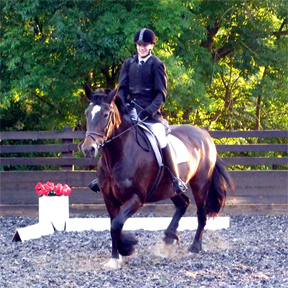Oliver, Preliminary 12