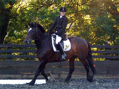 Oliver, Preliminary 12