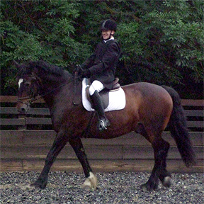 Unaffiliated Dressage League 2018