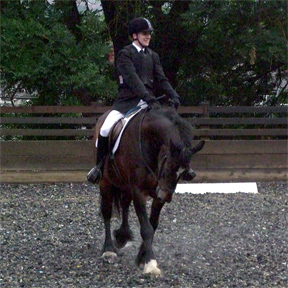 Oliver, Preliminary 12