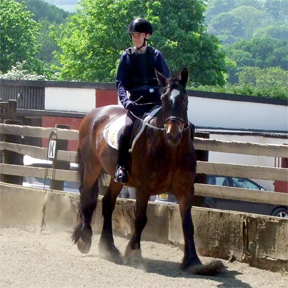 ID Walk & Trot Test