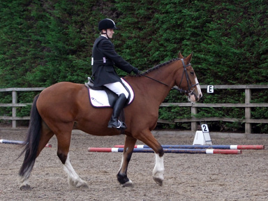 Level B Working Trails