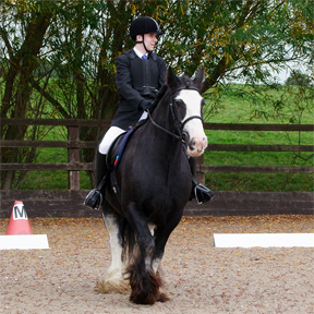 Level B Dressage - Class winner