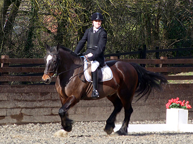 20m circle in canter