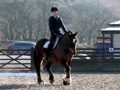 Oliver and Bailey