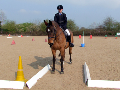 Working Trails - Class winner