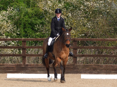 Oliver, Level B Dressage riding Justin