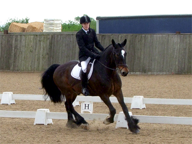Oliver at the 2019 British Horse Society Riding School National Championships, Onley Grounds Equestrian Complex, Rugby