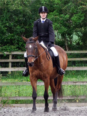 Dressage Grade 4 - FIRST