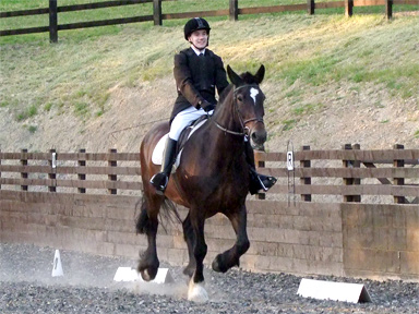 Class winners Preliminary 18