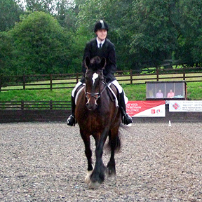Oliver and Bailey, Preliminary 18 - Class winners