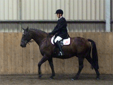 Dressage