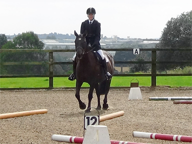 Level B Working Trails