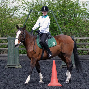 Oliver and Disney, Working Trail