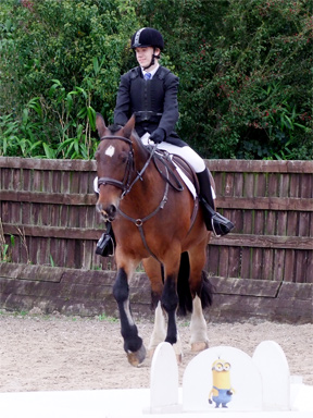 Working Trails - Class winner