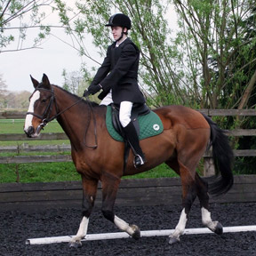 Level A2 Dressage