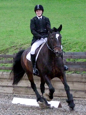 Preliminary 2 - RESERVE CHAMPION