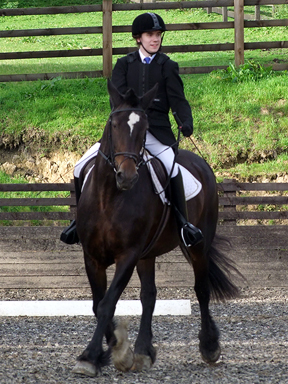 Novice 24