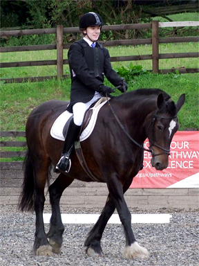 Dressage