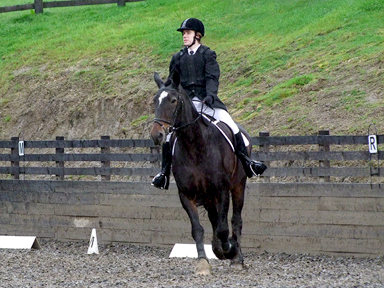 Oliver and Bailey - Virtus Senior Dressage Test, FIFTH
