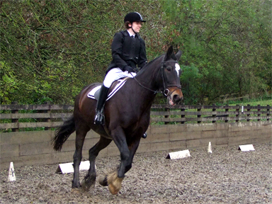 Riding School Championships