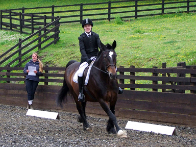 Transition to Working Trot