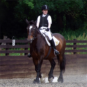 Class winners Preliminary 14