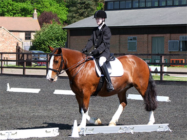 Walk/trot Dressage