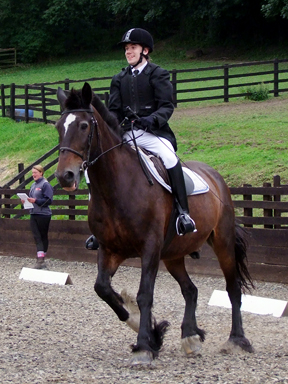Preliminary 7 - CHAMPION