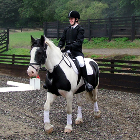 Oliver and Sophie - Virtus Senior Dressage Test, NINTH