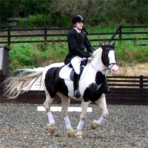 Oliver and Sophie, representing Great Britain at the 2021 World Para-Equestrian Competition