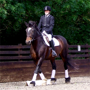 Oliver and Bailey - Virtus Senior Dressage Test, EIGHTH