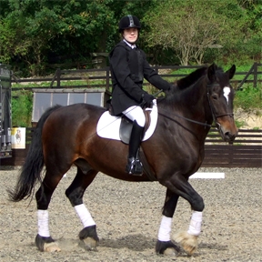 Oliver and Bailey, representing Great Britain at the 2021 World Para-Equestrian Competition