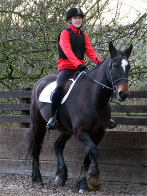 Showdown International Dressage - Walk, Trot, Canter Freestyle to Music
