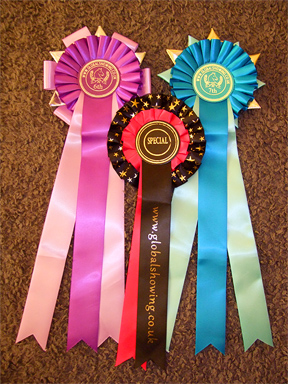 Prize rosettes
